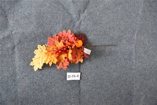 Halloween & Harvest Festival 34