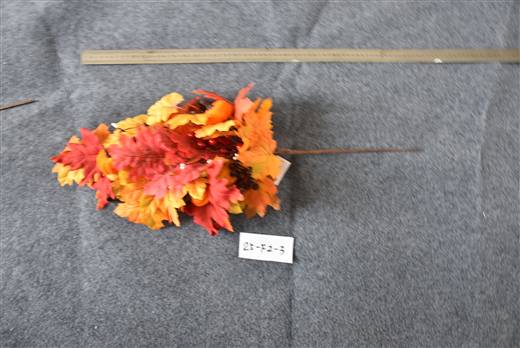 Halloween & Harvest Festival 40