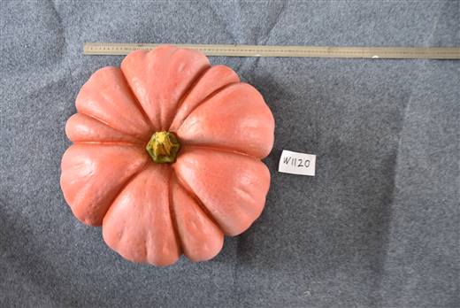 Halloween & Harvest Festival 67