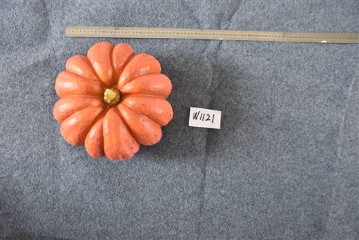 Halloween & Harvest Festival 68