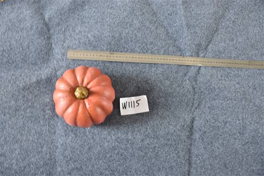 Halloween & Harvest Festival 70