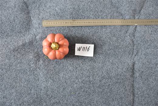 Halloween & Harvest Festival 76