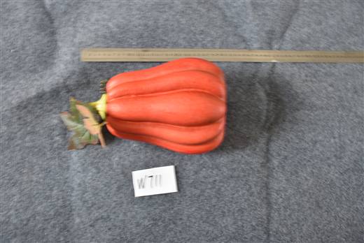 Halloween & Harvest Festival 79