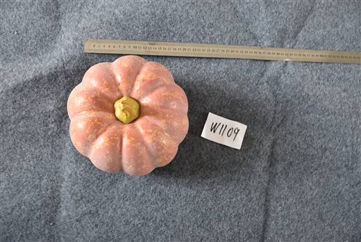 Halloween & Harvest Festival 84