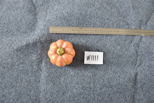 Halloween & Harvest Festival 88