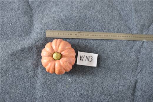 Halloween & Harvest Festival 89
