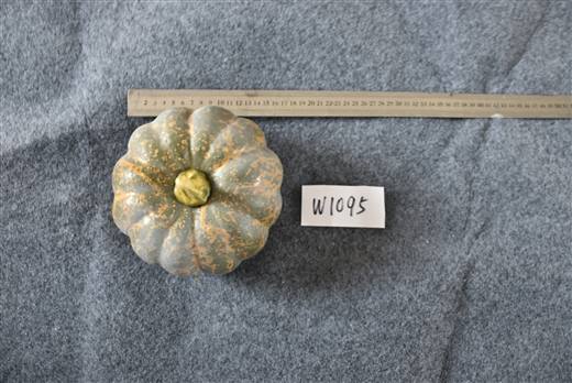 Halloween & Harvest Festival 98