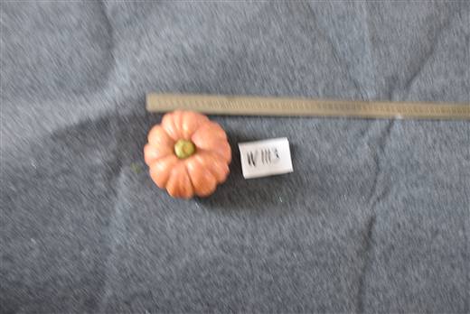 Halloween & Harvest Festival 100