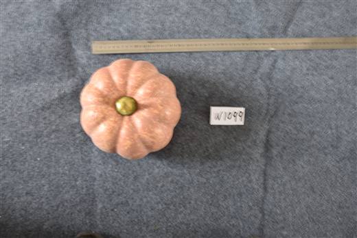 Halloween & Harvest Festival 101