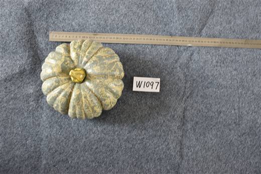 Halloween & Harvest Festival 102