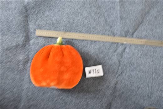 Halloween & Harvest Festival 111