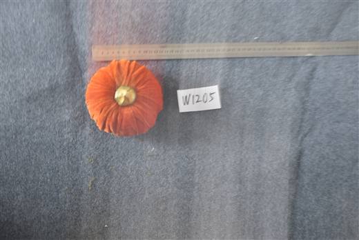 Halloween & Harvest Festival 130