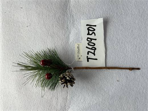 Miniature Christmas Branch 2